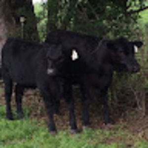 Meet your Posher, Kaitlyn